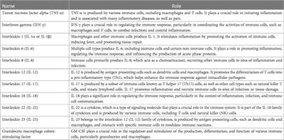 Manual therapy and exercise effects on inflammatory cytokines: a narrative overview